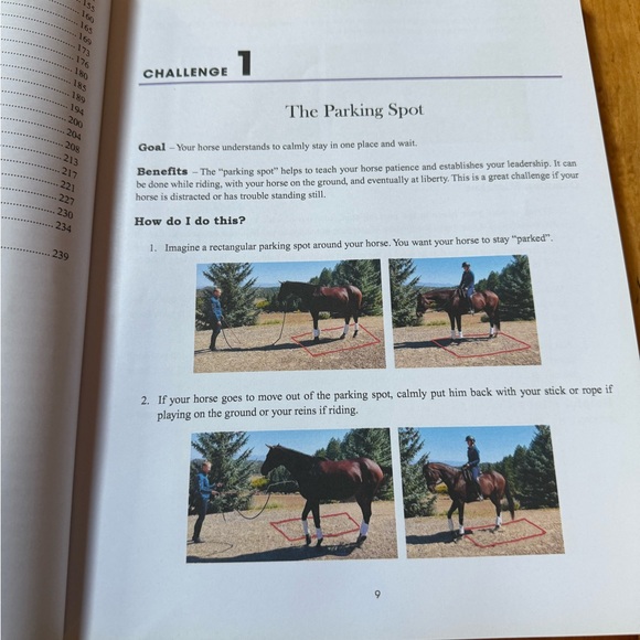 52 Challenges for You and Your Horse Book - Picture 3 of 5